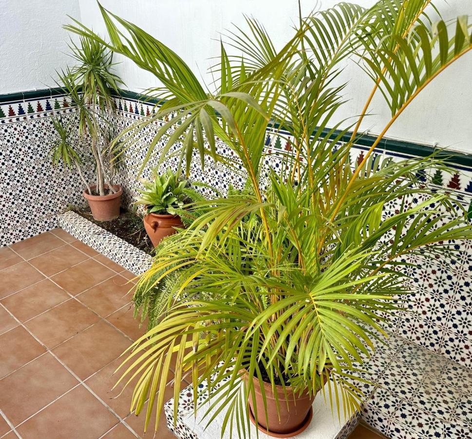 Вилла Fuengirola Casa Centro Mar Y Sol Экстерьер фото